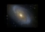 M 81